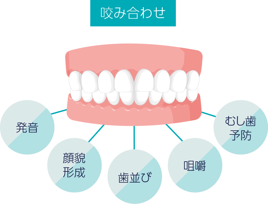 咬み合わせ